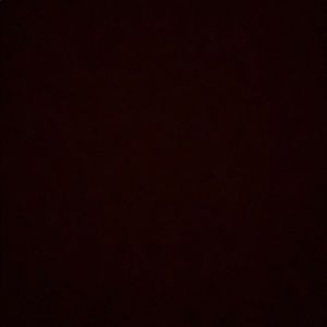 Meet your Posher, Peyton